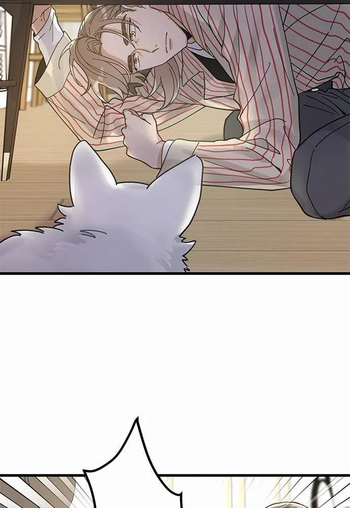 My One and Only Cat ตอนที่ 3658