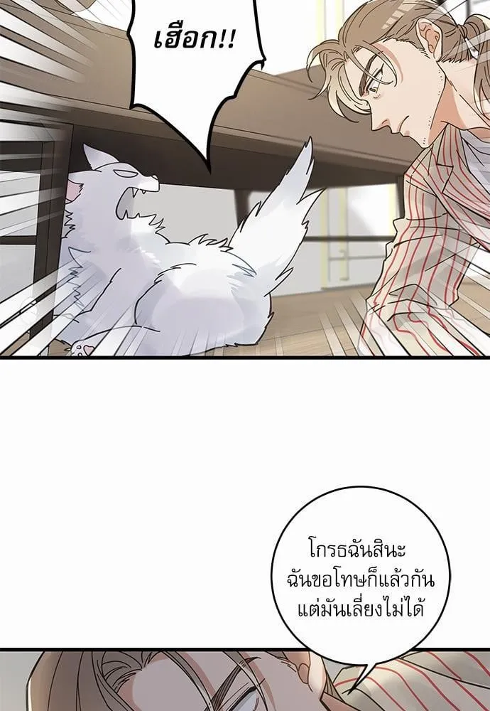 My One and Only Cat ตอนที่ 3659