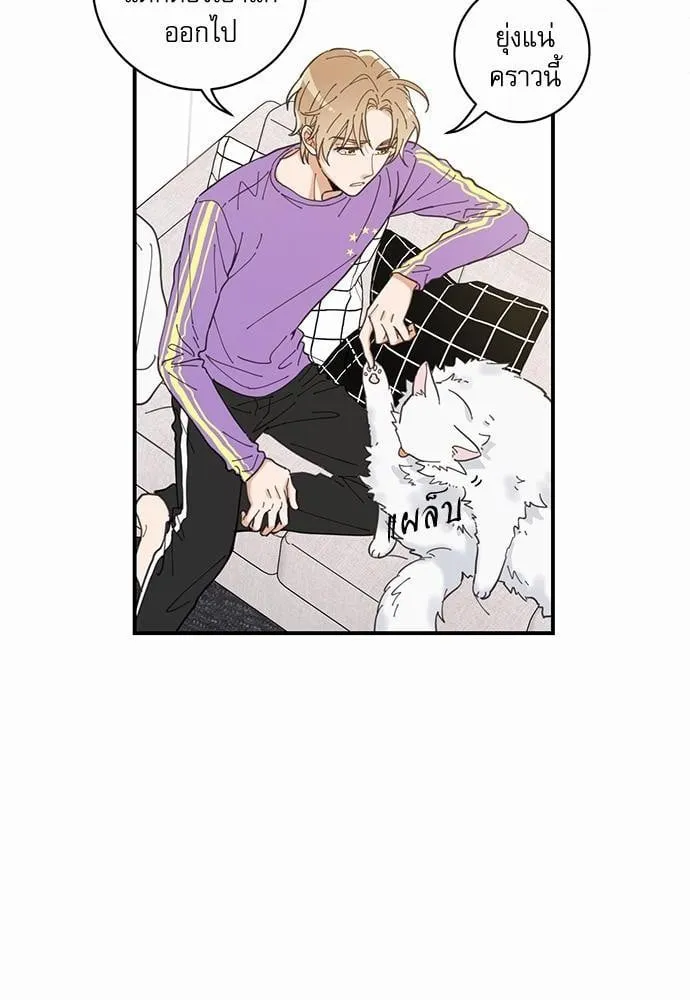 My One and Only Cat ตอนที่ 366 My One and Only Cat ตอนที่ 366