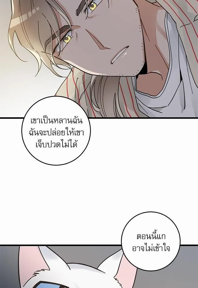 My One and Only Cat ตอนที่ 3660