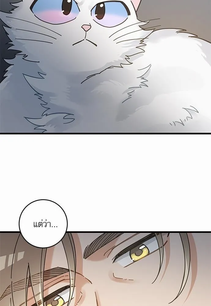 My One and Only Cat ตอนที่ 3661
