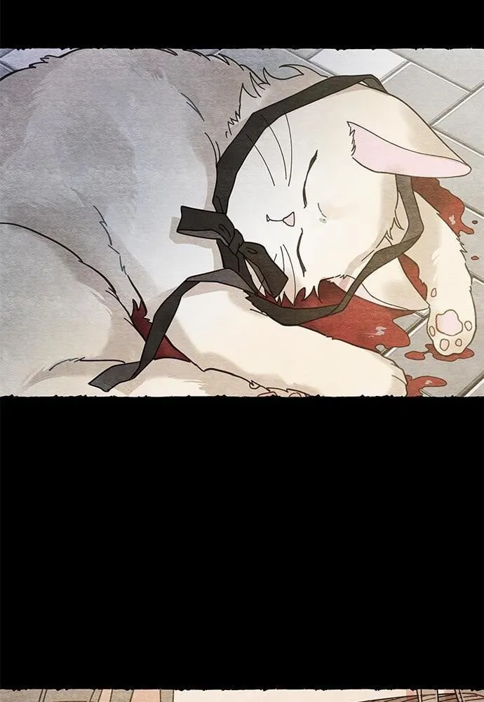 My One and Only Cat ตอนที่ 3666