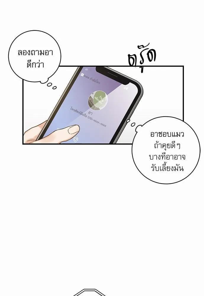 My One and Only Cat ตอนที่ 367 My One and Only Cat ตอนที่ 367