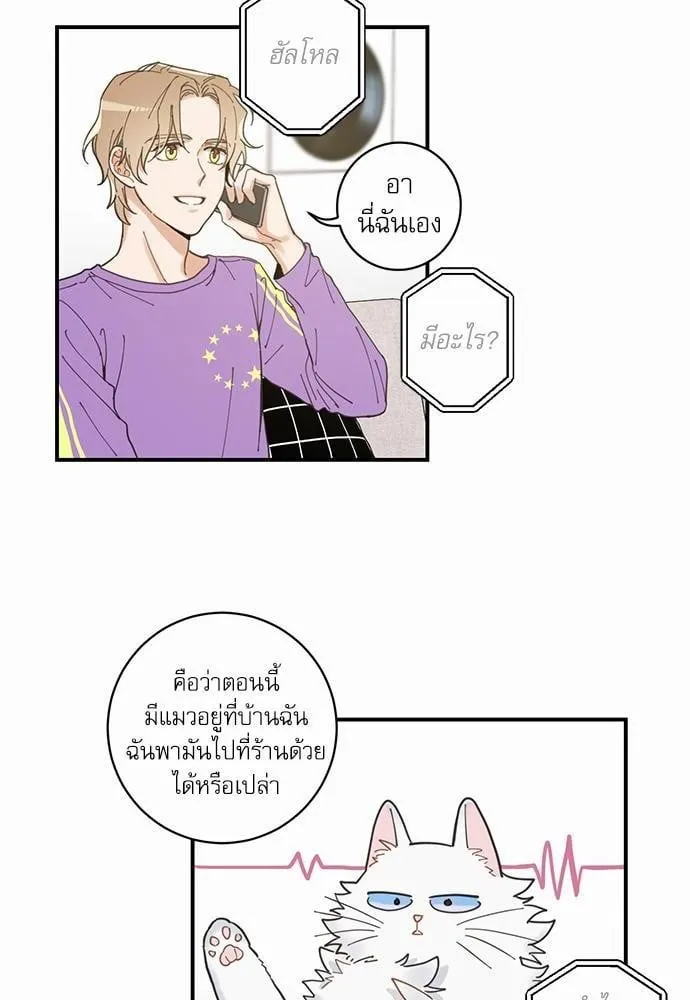 My One and Only Cat ตอนที่ 368 My One and Only Cat ตอนที่ 368