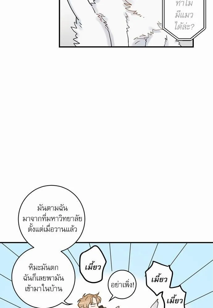 My One and Only Cat ตอนที่ 369 My One and Only Cat ตอนที่ 369
