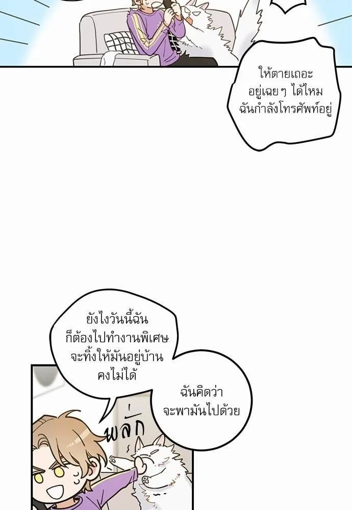 My One and Only Cat ตอนที่ 370 My One and Only Cat ตอนที่ 370