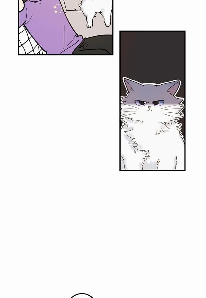 My One and Only Cat ตอนที่ 371 My One and Only Cat ตอนที่ 371