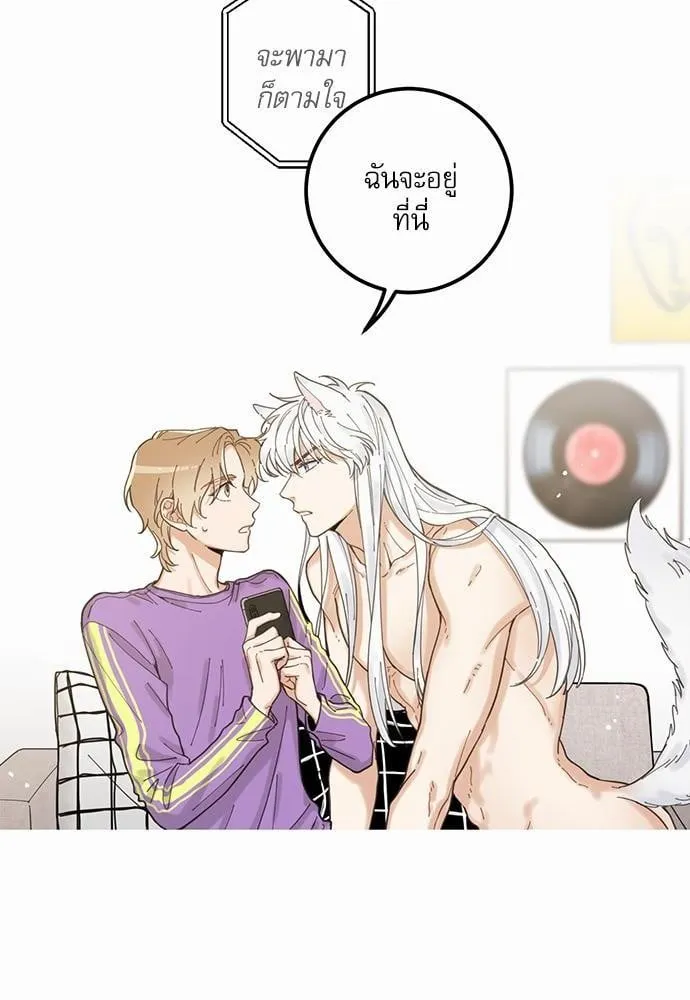 My One and Only Cat ตอนที่ 374 My One and Only Cat ตอนที่ 374