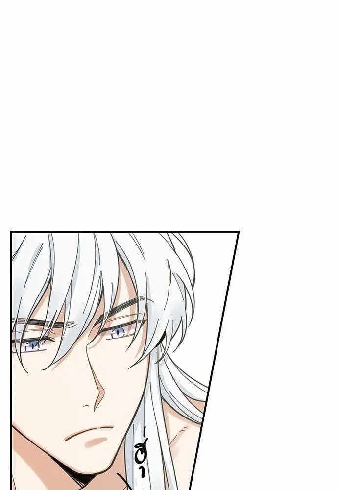 My One and Only Cat ตอนที่ 375 My One and Only Cat ตอนที่ 375