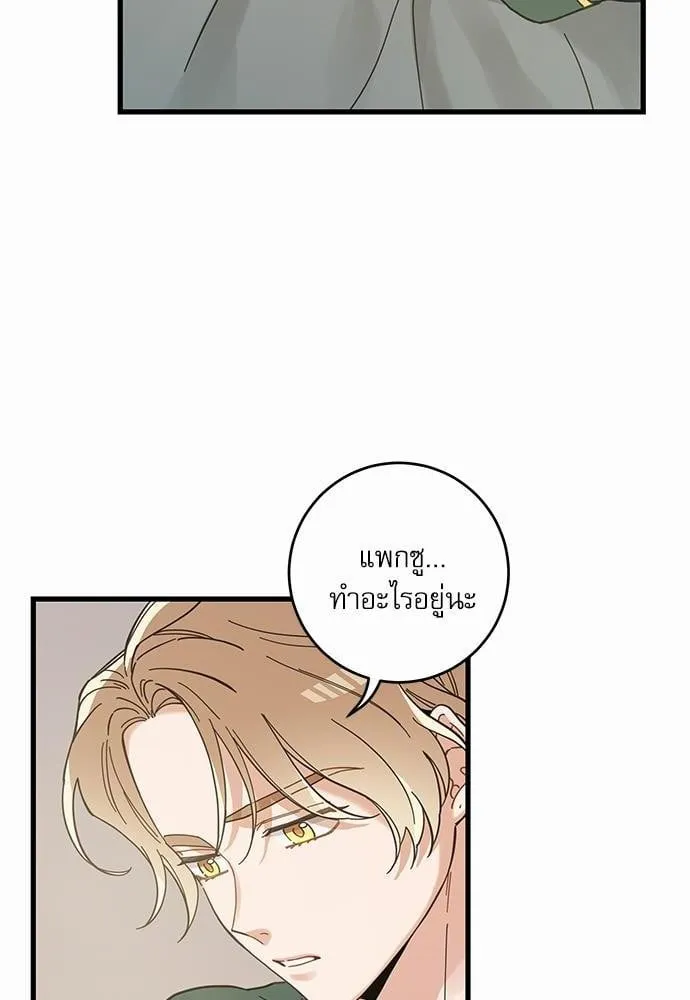 My One and Only Cat ตอนที่ 3806 My One and Only Cat ตอนที่ 3806