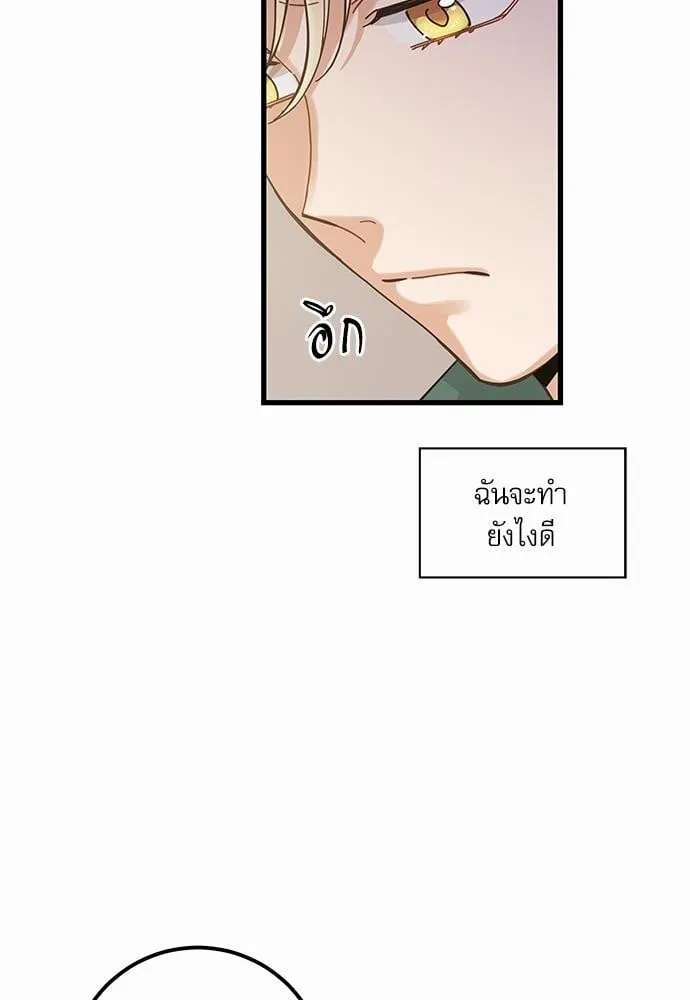 My One and Only Cat ตอนที่ 3808 My One and Only Cat ตอนที่ 3808