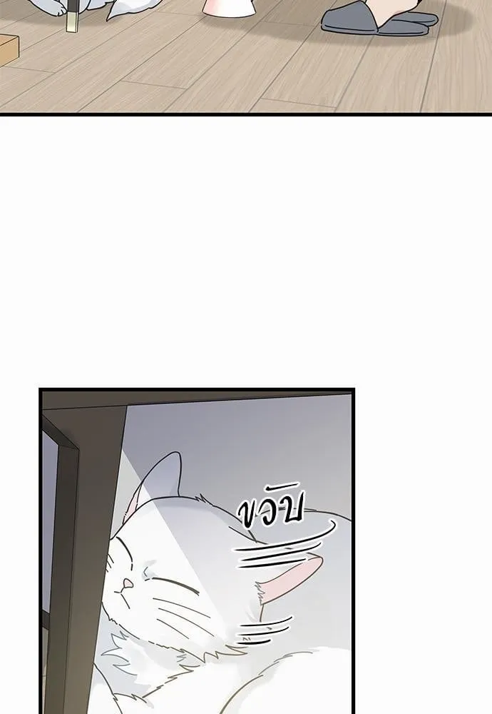 My One and Only Cat ตอนที่ 3815 My One and Only Cat ตอนที่ 3815