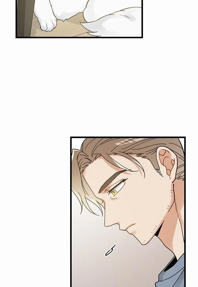 My One and Only Cat ตอนที่ 3816 My One and Only Cat ตอนที่ 3816