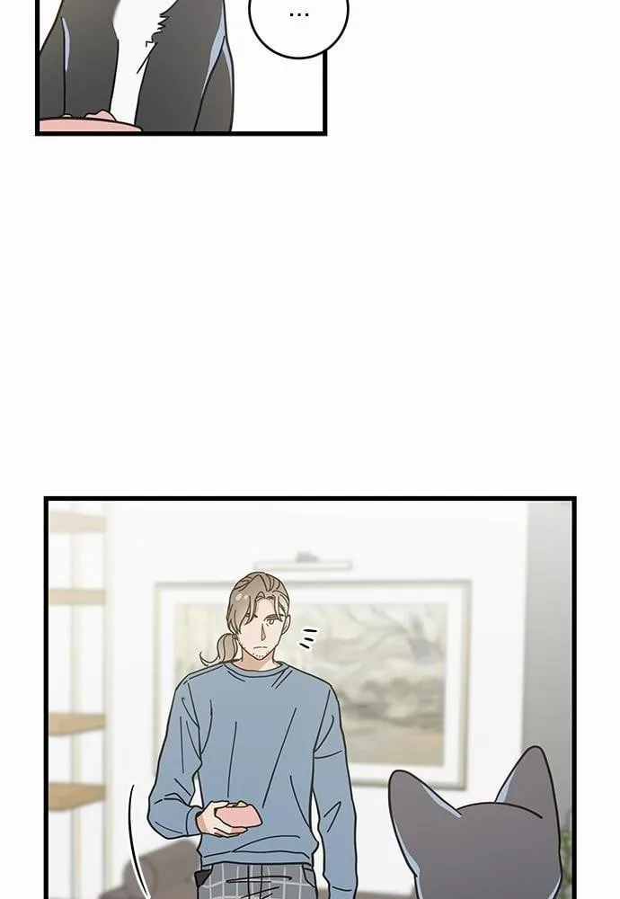 My One and Only Cat ตอนที่ 3819 My One and Only Cat ตอนที่ 3819