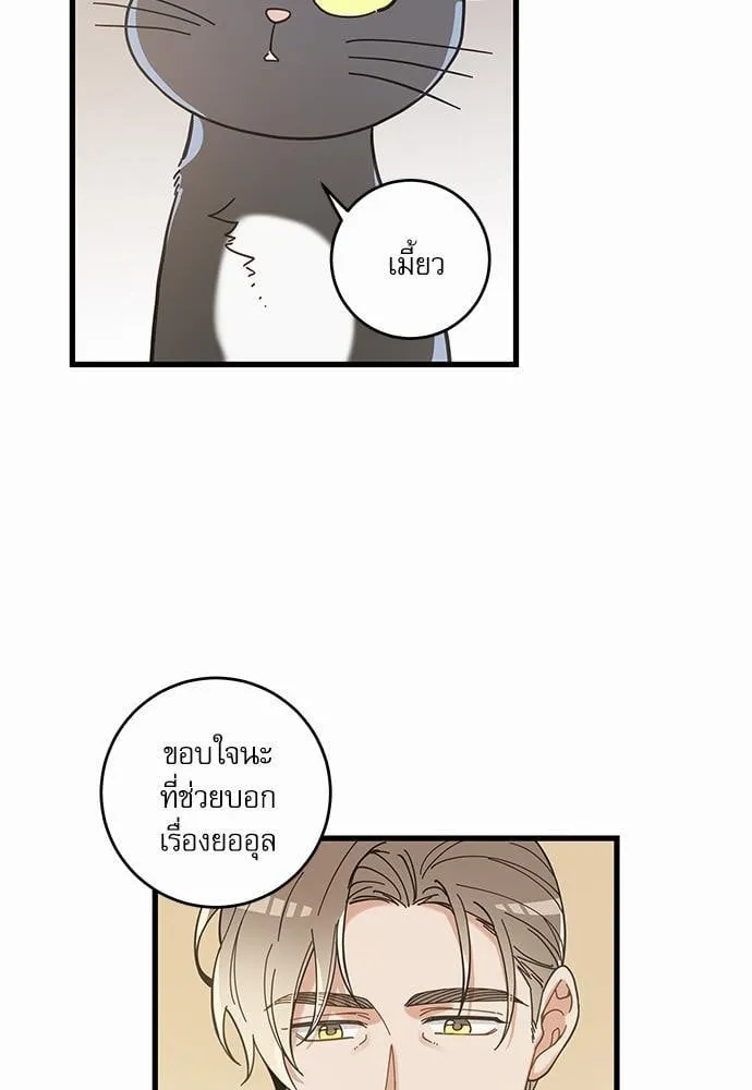 My One and Only Cat ตอนที่ 3823 My One and Only Cat ตอนที่ 3823