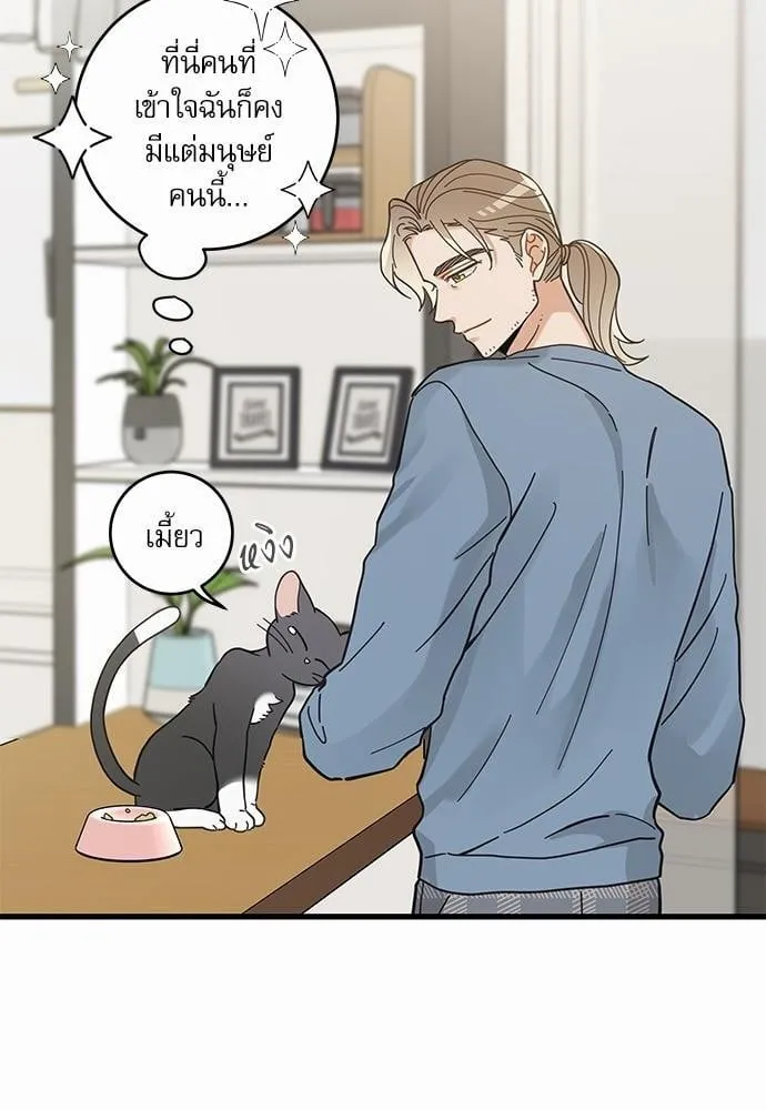 My One and Only Cat ตอนที่ 3826 My One and Only Cat ตอนที่ 3826