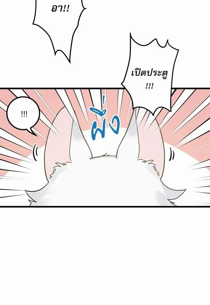 My One and Only Cat ตอนที่ 3828 My One and Only Cat ตอนที่ 3828