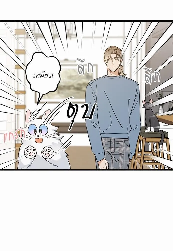 My One and Only Cat ตอนที่ 3829 My One and Only Cat ตอนที่ 3829