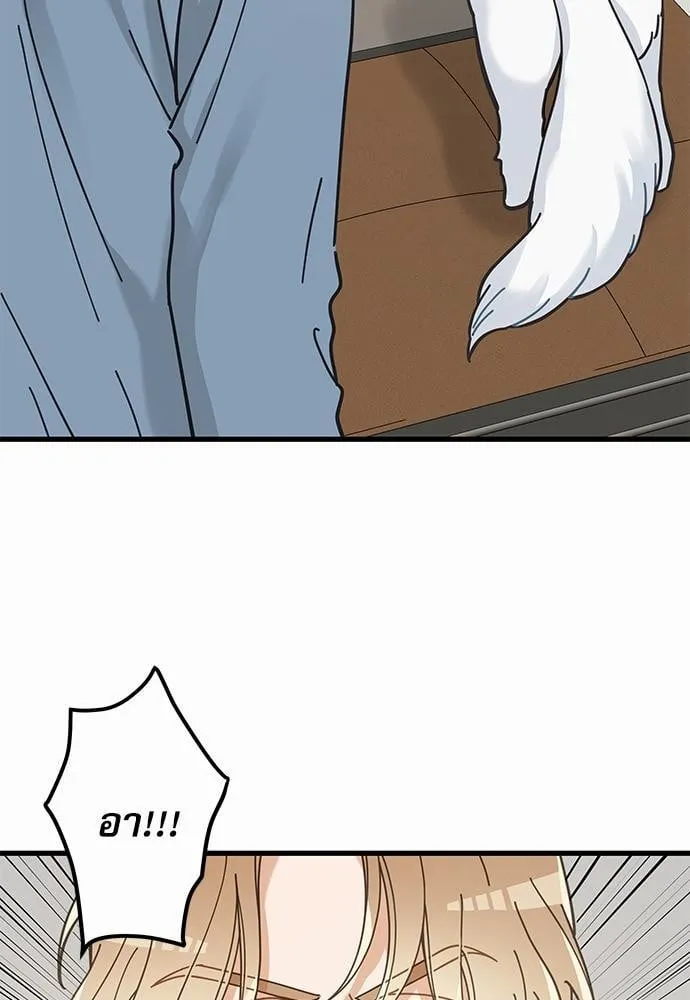 My One and Only Cat ตอนที่ 3831 My One and Only Cat ตอนที่ 3831