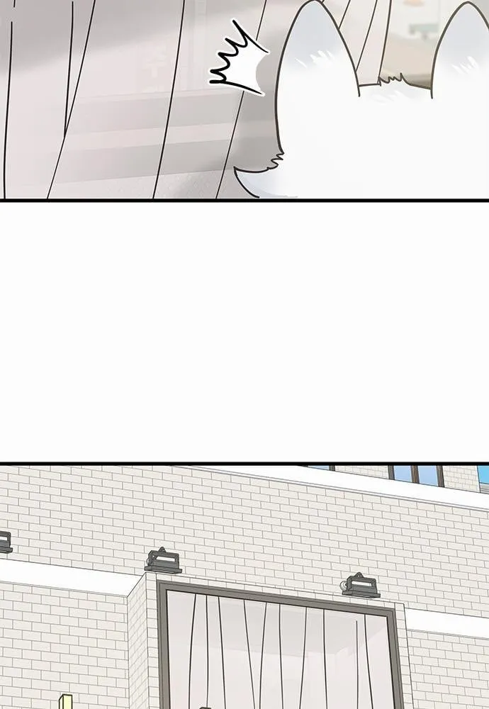 My One and Only Cat ตอนที่ 3849 My One and Only Cat ตอนที่ 3849