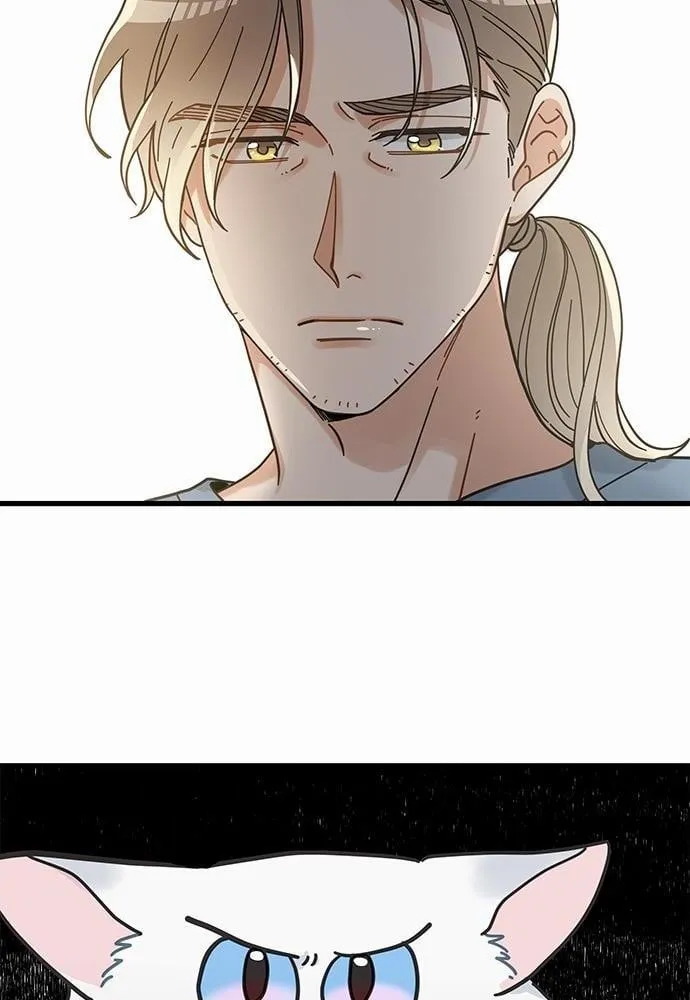 My One and Only Cat ตอนที่ 3855 My One and Only Cat ตอนที่ 3855