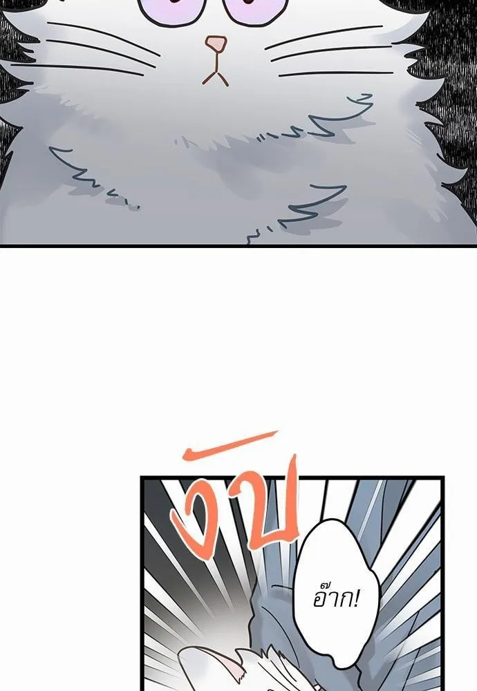 My One and Only Cat ตอนที่ 3856 My One and Only Cat ตอนที่ 3856