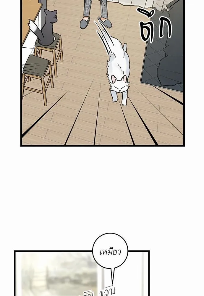My One and Only Cat ตอนที่ 3858 My One and Only Cat ตอนที่ 3858