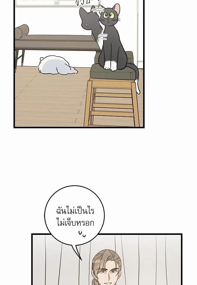 My One and Only Cat ตอนที่ 3859 My One and Only Cat ตอนที่ 3859