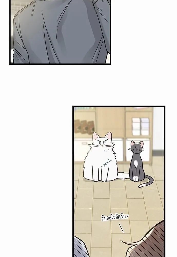 My One and Only Cat ตอนที่ 3910