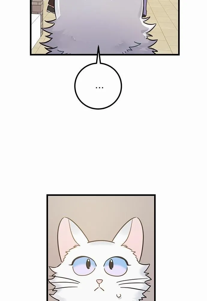 My One and Only Cat ตอนที่ 3912