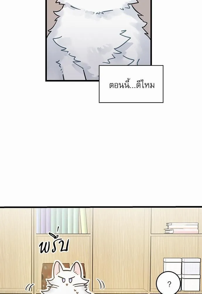 My One and Only Cat ตอนที่ 3913