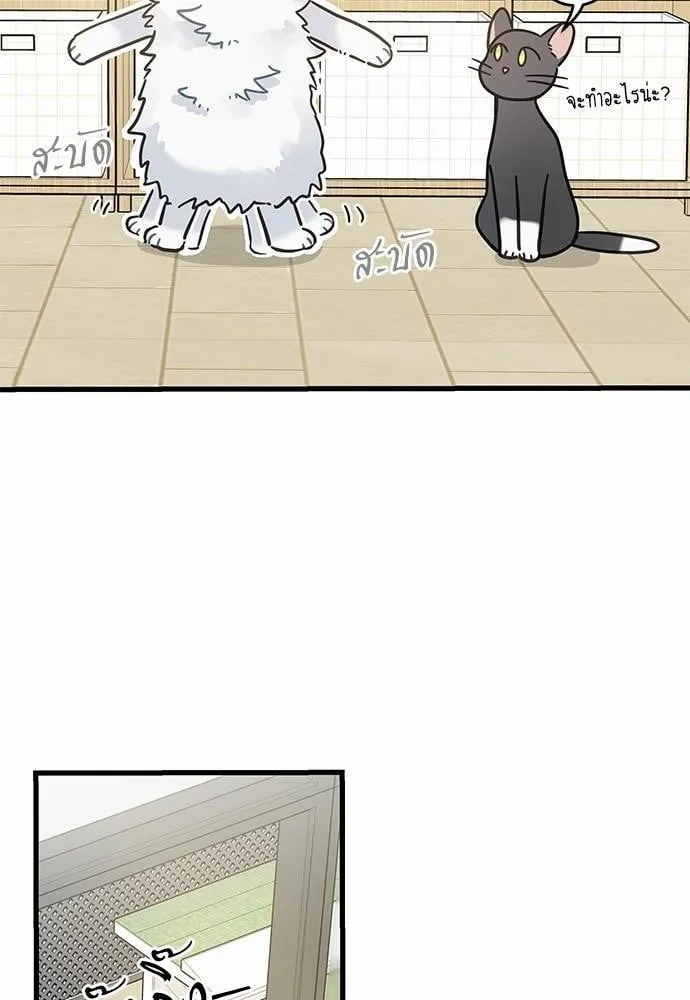 My One and Only Cat ตอนที่ 3914