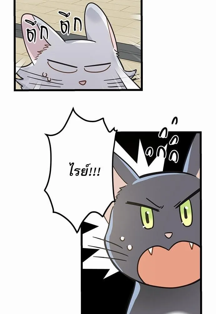 My One and Only Cat ตอนที่ 3917