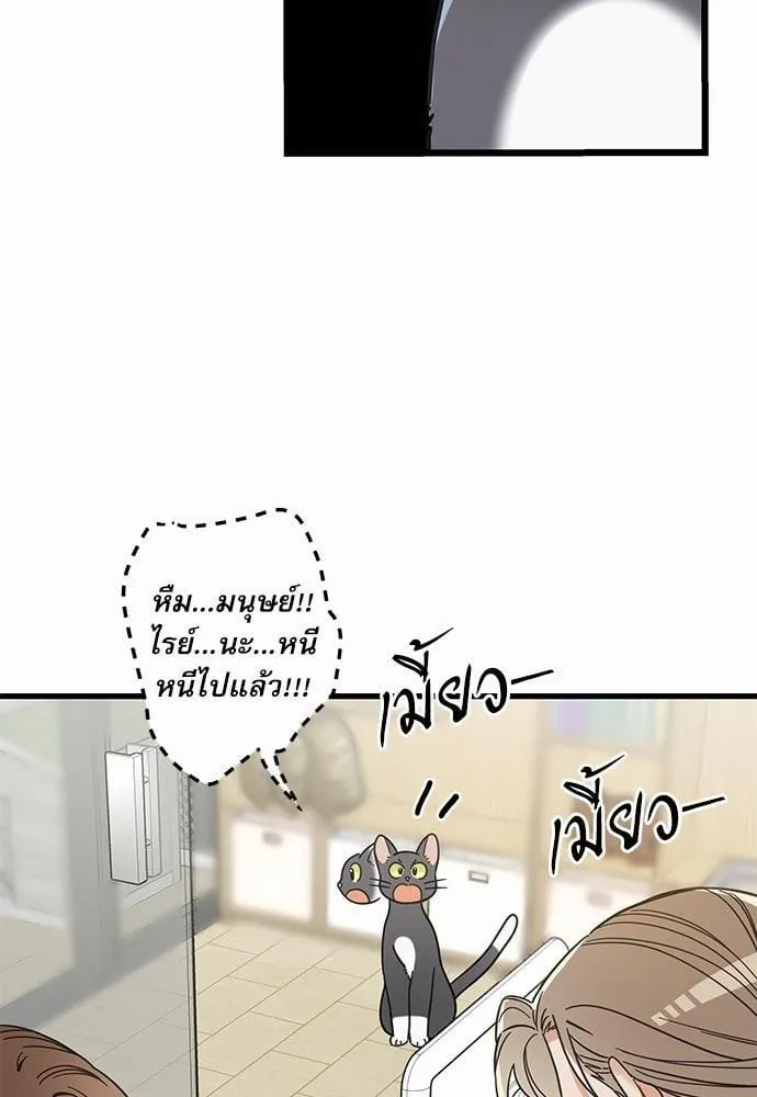 My One and Only Cat ตอนที่ 3918