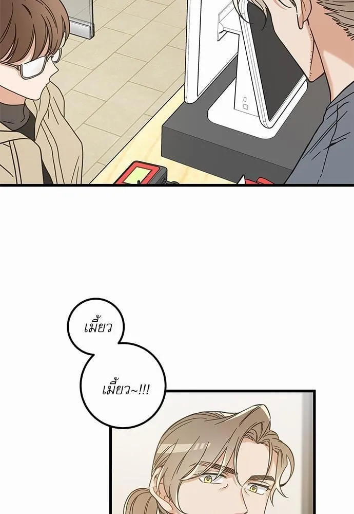 My One and Only Cat ตอนที่ 3919