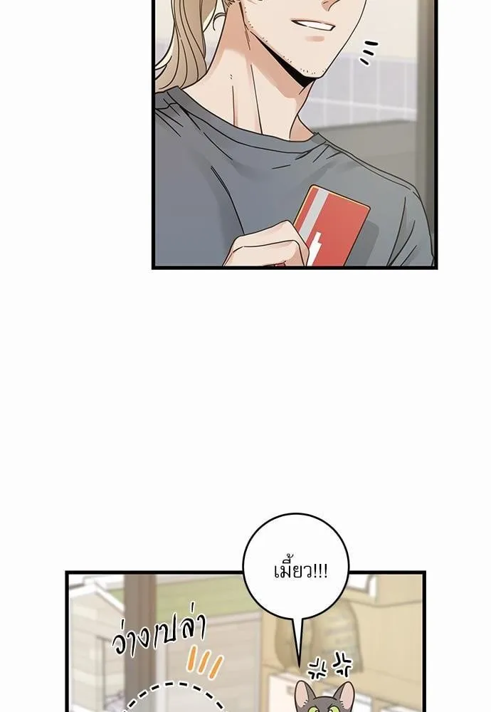 My One and Only Cat ตอนที่ 3920