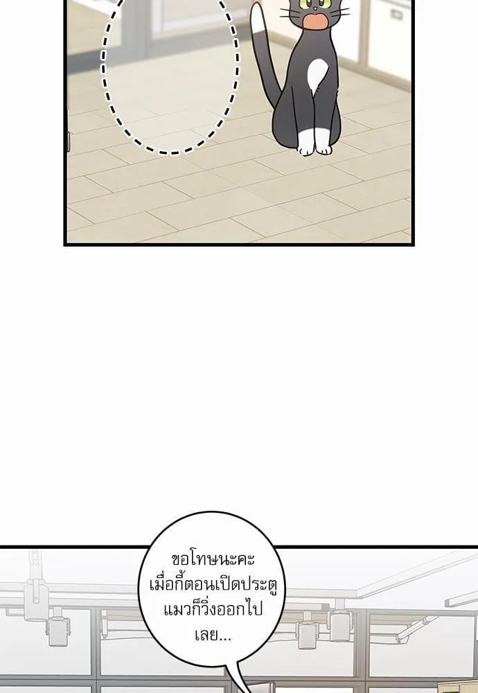 My One and Only Cat ตอนที่ 3921