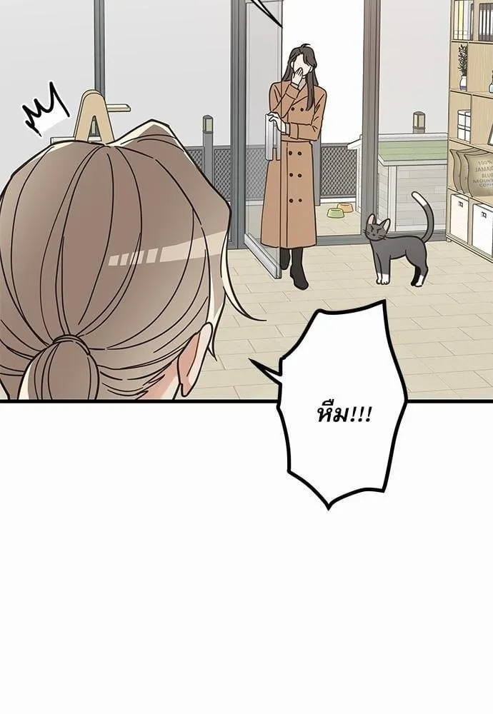 My One and Only Cat ตอนที่ 3922