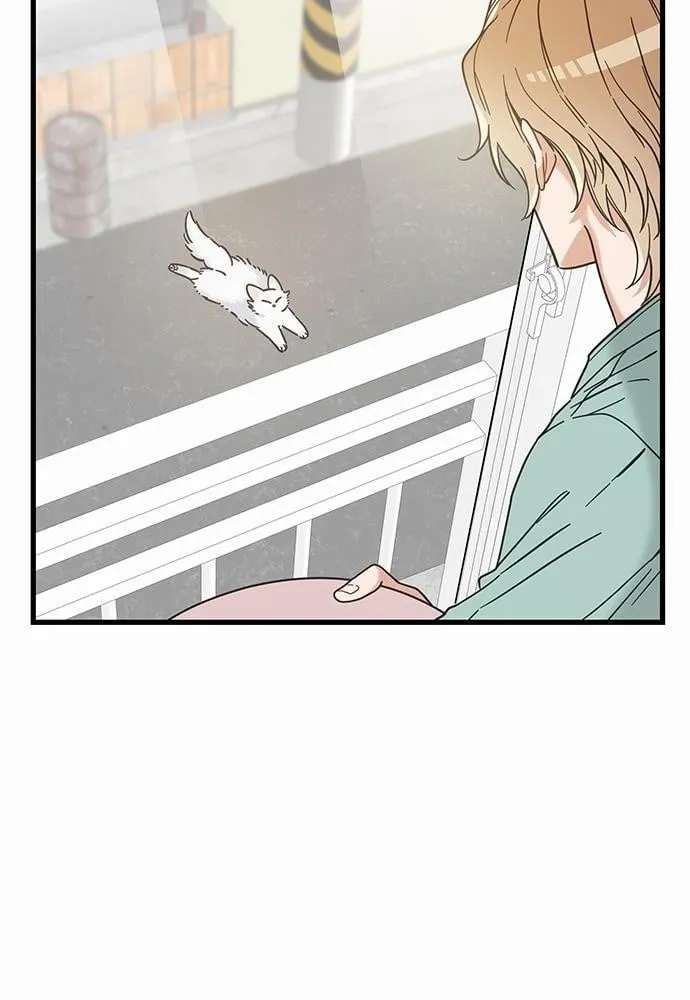 My One and Only Cat ตอนที่ 3932