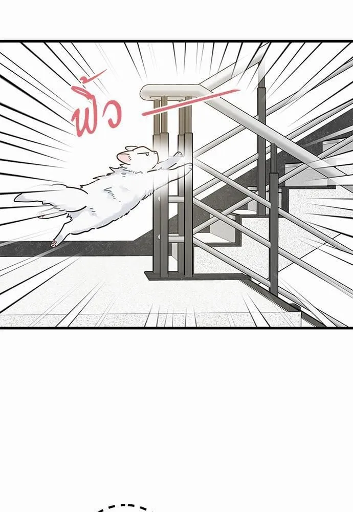 My One and Only Cat ตอนที่ 3933