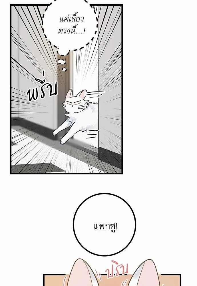 My One and Only Cat ตอนที่ 3934