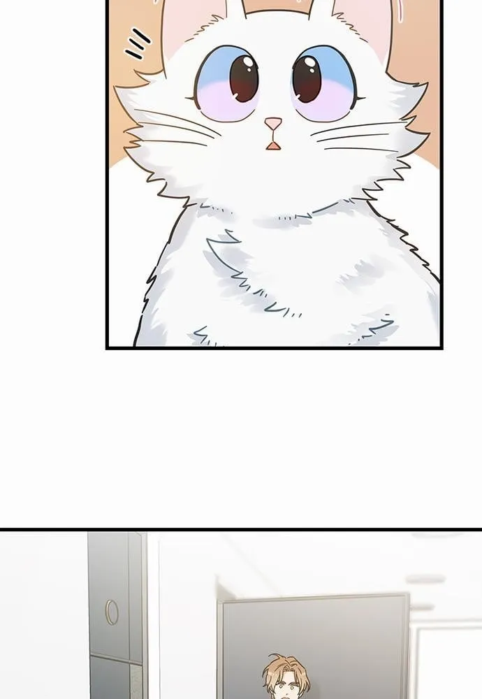 My One and Only Cat ตอนที่ 3935