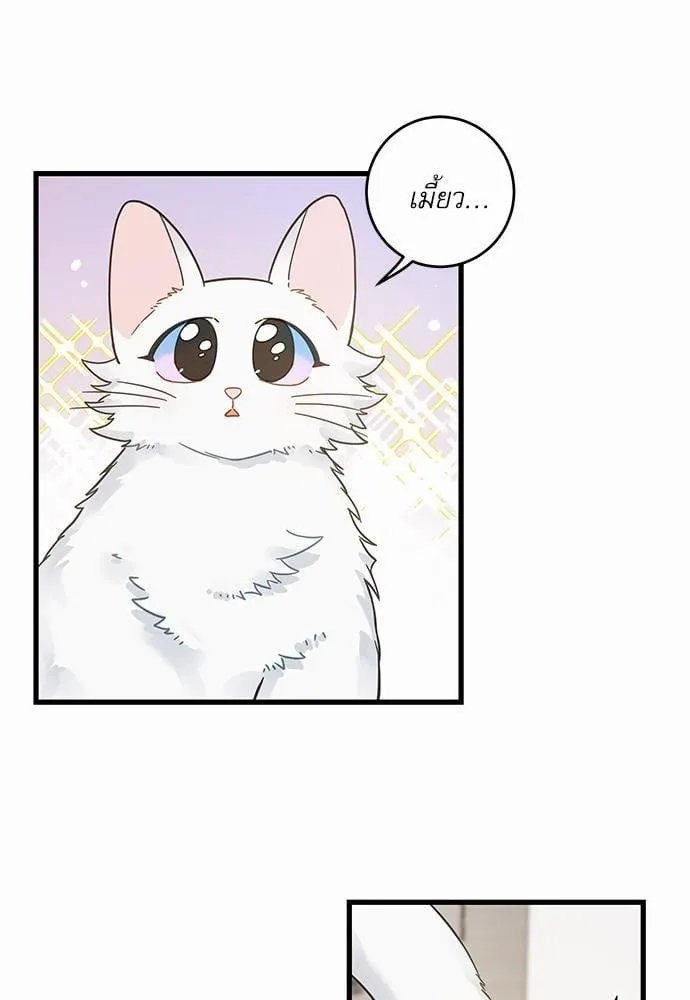 My One and Only Cat ตอนที่ 3937