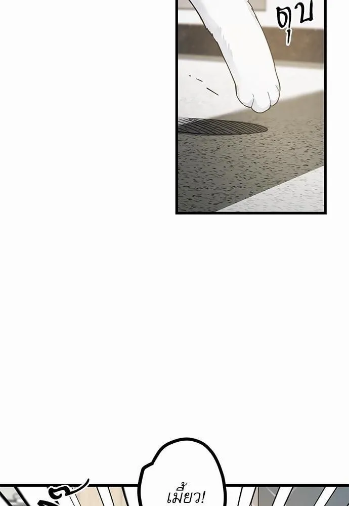 My One and Only Cat ตอนที่ 3938