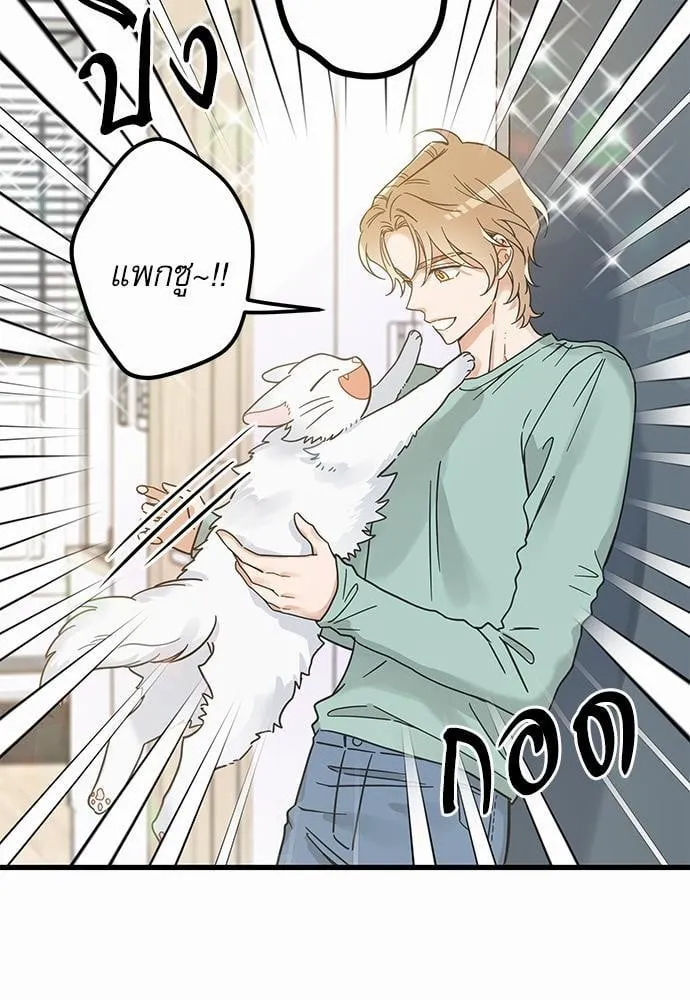 My One and Only Cat ตอนที่ 3939