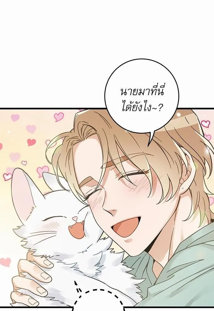 My One and Only Cat ตอนที่ 3940