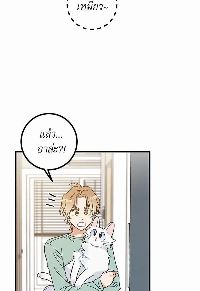 My One and Only Cat ตอนที่ 3941