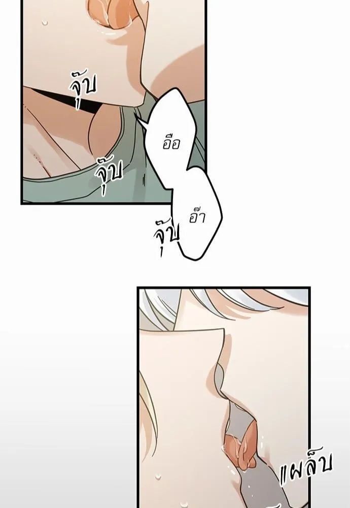 My One and Only Cat ตอนที่ 3945