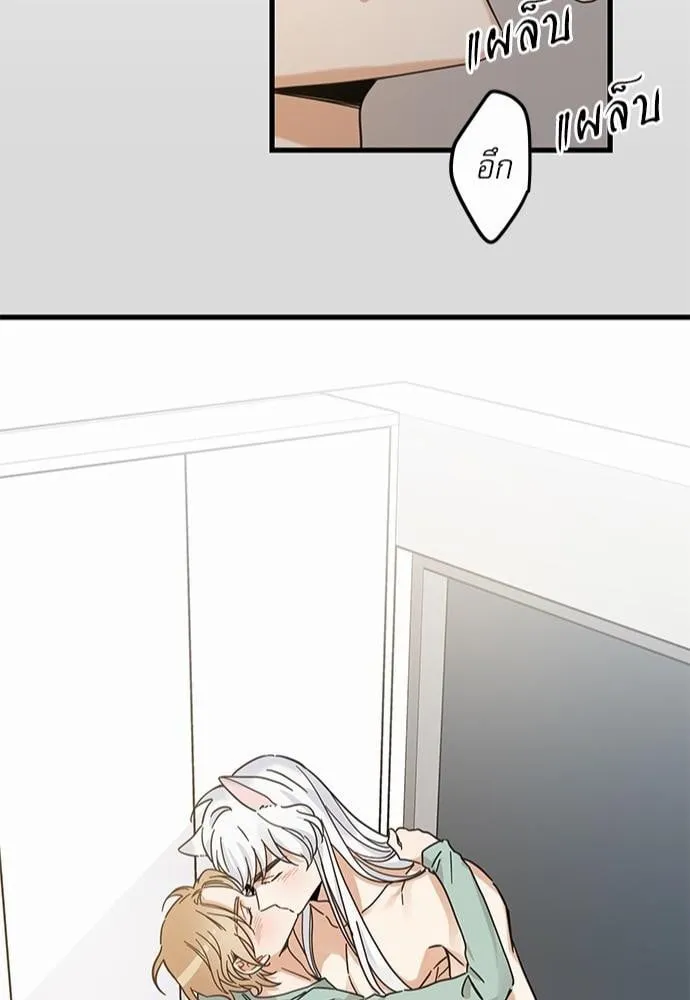 My One and Only Cat ตอนที่ 3946