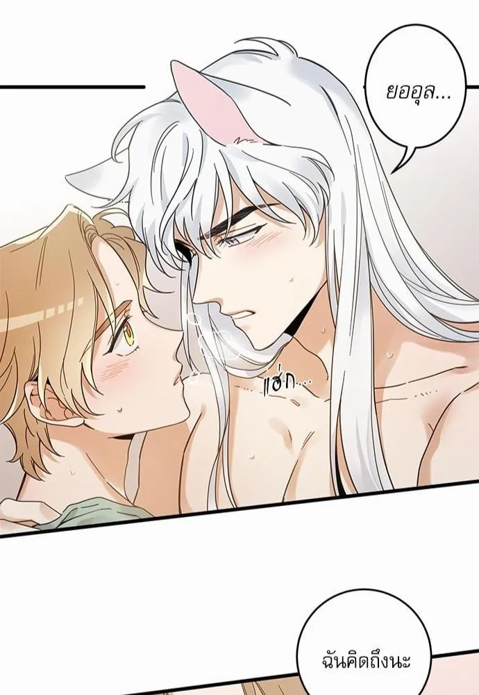 My One and Only Cat ตอนที่ 3948